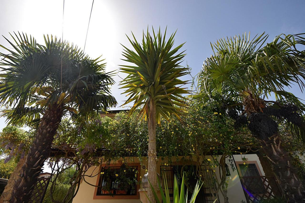 B&B Agave 64 П'яцца-Армерина Екстер'єр фото